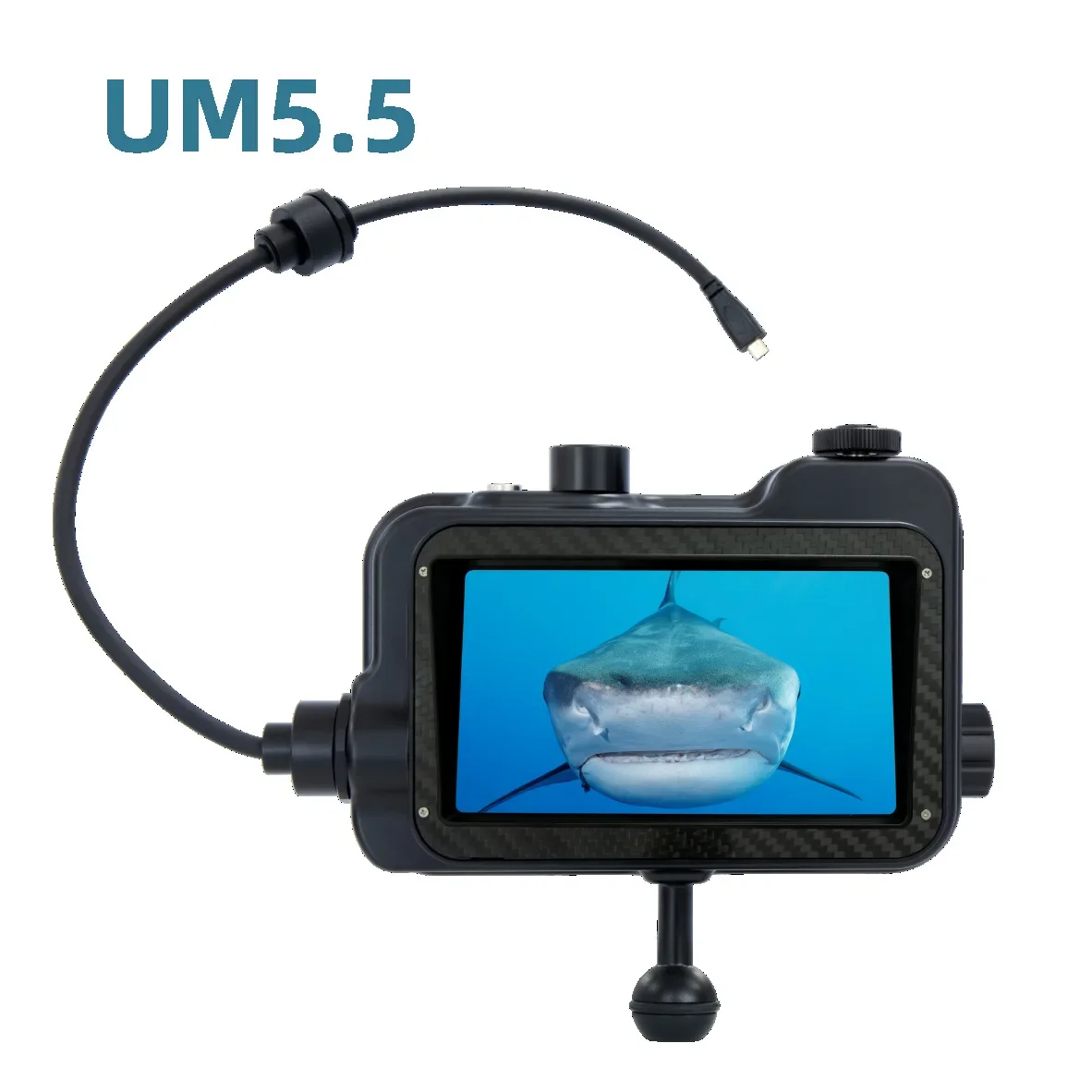 Equipamento de Exibição Submer - Lighting In Photography Definition avaliação e preço
