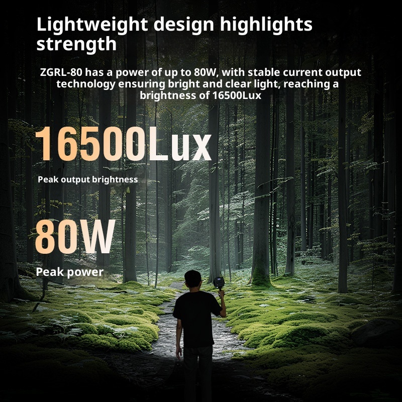 ZGRL80 80W COB LED Luz de víde - Photography Lighting For Outdoors avaliação e preço